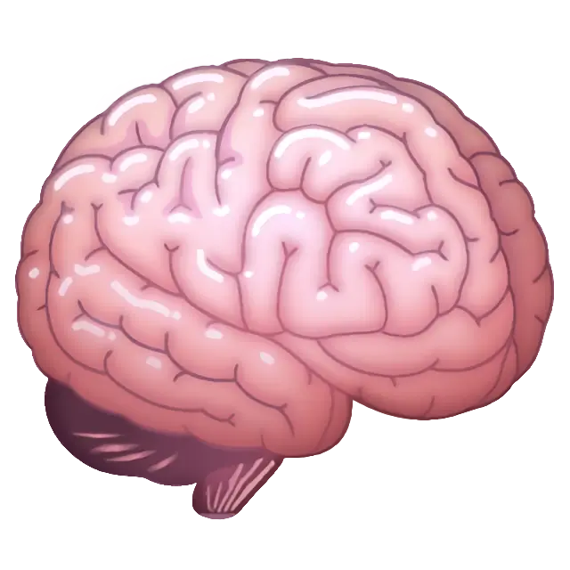 049a6fc56ffac0b555e9b696242719